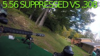 556 Suppressed VS 308  Small Targets [upl. by Ehsom]