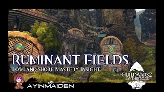 GW2 Lowland Shore Insight Ruminant Fields [upl. by Redwine]