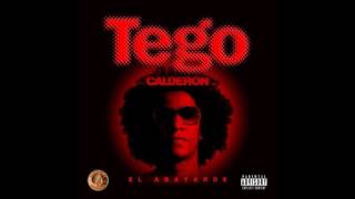 Tego Calderon Punto y Aparte Metele Sazon Tego Calderon Pa Que Se Lo Gozen Tego Calderon Remix [upl. by Duval373]