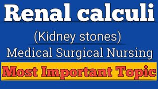 Renal Calculi in Hindi RenalCalculiNursing [upl. by Carlson87]