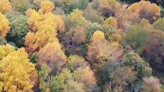 Lake Needwood Derwood MD  October 16 2020 Video made by DJI Mini [upl. by Meredithe]