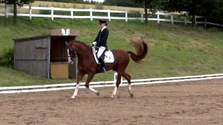 DRESSURREITEN in VLOTHO EXTER 2012  DRESSAGE EXTER 2012 Video 2  EQUESTRIAN [upl. by Aiepoissac]