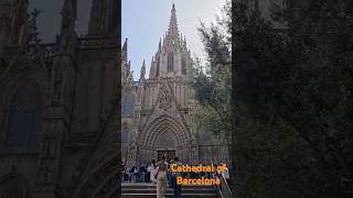 Cathedral of Barcelona Spain 🇪🇸 shorts shortfeeds [upl. by Idahs]