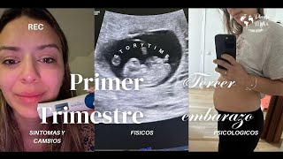 Síntomas y Cambios PRIMER TRIMESTRE DE EMBARAZO 3  STORYTIME [upl. by Corin]