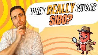 What REALLY Causes SIBO Small Intestinal Bacterial Overgrowth [upl. by Gyasi]