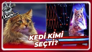 O Ses Türkiyede Kedi Sürprizi  O Ses Türkiye 30 Bölüm [upl. by Nesmat]