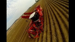 Grimme Varitron 270 Arrachage pomme de terre 2013 Gopro HD [upl. by Naitsirhk824]