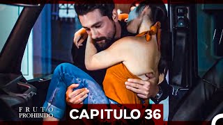 Fruto Prohibido Capitulo 36 Doblado en Español [upl. by Iney]