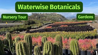 The LARGEST succulent nursery I’ve been to Waterwise Botanicals 2023 cactus nurserytour [upl. by Olenolin]