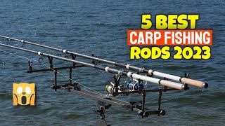 5 Best Carp Fishing Rods In 2023  Rod For Carp Fishing [upl. by Zednanreh]