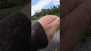 4s Tipp SchnippsTechnik zum Lösen von Hängern angeln fishing carpfishing carp angelfischen [upl. by Frederiksen800]