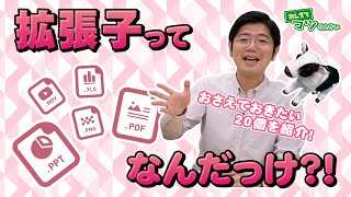 知っておきたい！パソコンの拡張子20選｜ハロー！パソコン教室 [upl. by Amikat]