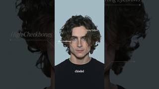 What Makes Timothee Chalamet So Attractive [upl. by Aric]