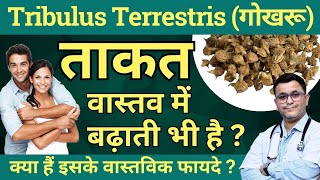 Gokhru ke fayde Tribulus Terrestris benefits Gokhru benefits Tribulus Q Homeopathic Medicine [upl. by Adnavoj]