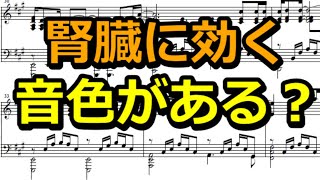 腎臓病に効く「音色」はあるのか？実際に鳴らしてみる [upl. by Eliott]