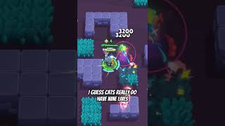 Worlds smallest game with Kit worldssmallestviolin brawlstars brawlstarsshorts lpunknown [upl. by Trebloc549]