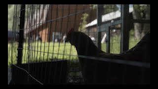 The Wrecks record an EP in a barn [upl. by Nived161]