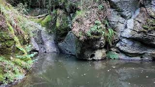 Cascata dellAquilonaccioParco di TuronaLago di Bolsena [upl. by Tutt]