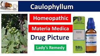 Caulophyllum Homeopathic Medicine  Drug Picture  Materia Medica bhms materiamedica caulophyllum [upl. by Llenroc]