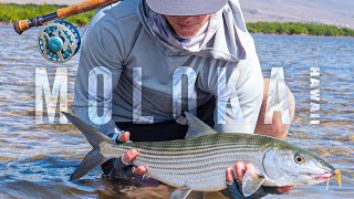 Fly Fishing Giant Bonefish GTs and Milkfish on the flats of Molokai Hawaii with fly rods kayaks [upl. by Mello]