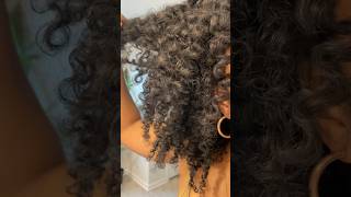 TWIST OUT Routine on My Natural Hair  Beginner Friendly with Shea Moisture naturalhairjourney [upl. by Gnol162]