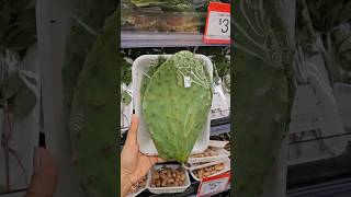 🌵😱200 Roopayo🌵😟 cactus malayalam walmart finding youtubeshorts viralvideo [upl. by Kepner]