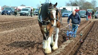 Selby Ploughing Match 09 04 2023 mp4 Produce 02 [upl. by Aicilla]