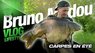 Lifestyle Series  EP24  Carpes en été [upl. by Onabru]