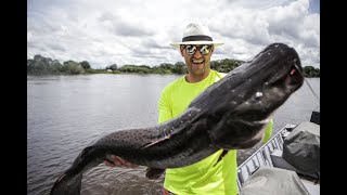 BRASIL PESCA TUR  Sua Melhor Pescaria no Pantanal [upl. by Ahsined866]