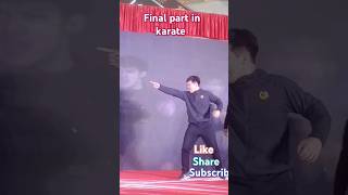 Karate final part one man show our chennal like share subscribe [upl. by Dulcea]