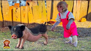 Monkey YiYi was surprised to see piglet looked like Ủn ỉn [upl. by Meehar]