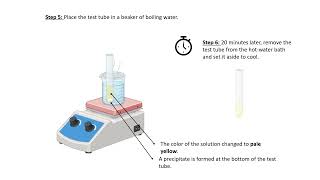 Exp 30 Shriner Book Oxazone Test [upl. by Nyrual972]