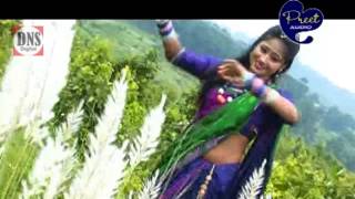 Sadri Song  Sadi Tor Sadi  Jyoti Sahu  Shiva Music Jhollywood [upl. by Akenahc]