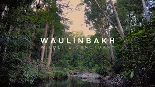 Introducing Waulinbakh Wildlife Sanctuary [upl. by Hazaki]