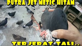 PUTRA JET METIC HITAM TERJERAT BENANG KARUNG [upl. by Trudey]