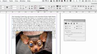 Indesign CS6 Tutorial  How To Wrap Text Around A Graphic [upl. by Akeit]