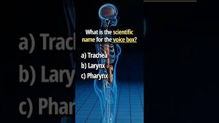 Anatomy Trivia trivia science quiz [upl. by Selimah]