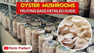 How to make Mushroom Fruiting Bags using sawdust [upl. by Notliw]