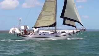 Tradewinds 35 Cutter sailing on Moreton Bay [upl. by Rizas5]