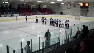 Legends Ringette Game 2013 [upl. by Luhe482]