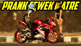 PRANK CEWEK MATRE PAKE CBR250RR  Bro Omen [upl. by Suoirtemed]