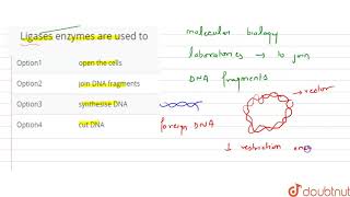 Lyase enzymes are used to [upl. by Fiden]