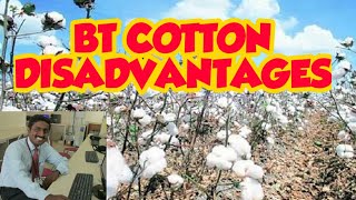 BT COTTON DISADVANTAGES  TAMIL EXPLANATION  BT  பருத்தியின் தீமைகள் [upl. by Ynnattirb]