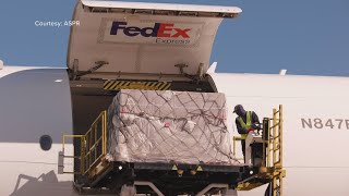 Multiple shipments of IV bags imported into the US [upl. by Rebmik]