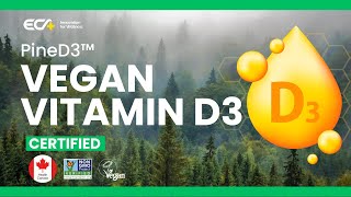 PineD3™  Plantbased VEGAN VITAMIN D3 Cholecalciferol  INNOVATIVE INGREDIENT  NO SHEEP WOOL [upl. by Aihsoek]