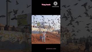 Vizag beach memories memoriestrending viralvideo beach vizag vizagbeach rkbeach [upl. by Atiuqer]