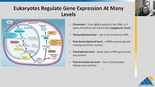 BIOL201 Ch161  Gene Regulation Overview [upl. by Ivor880]