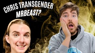 Nasib MrBeast Setelah Chris Tyson Jadi Transgender Karl Effect [upl. by Enohpesrep]