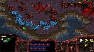 Starcraft 1 Zerg vs 7 Random Computers [upl. by Aihc]