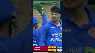 Zimbabwe vs Afganistan Live Score  2nd ODI  afganistan zimbabwe cricket 2ndodi live shorts [upl. by Yessac]